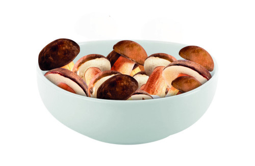 Podgrzybek CAŁY  extra 2,5 kg.-JASE(4)