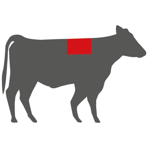 Triada Dystrybutor Mrożonek | Dystrybutor produktów mrożonych