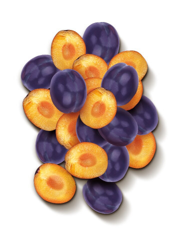 Śliwka drylowana 2,5kg-HORTEX(4)