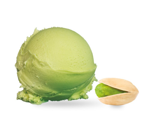 Kuweta Pistacja 5L-KORAL(1)