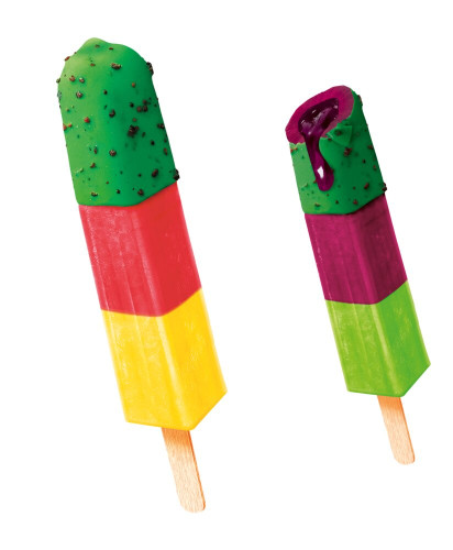 Triada Dystrybutor Mrożonek | Dystrybutor produktów mrożonych