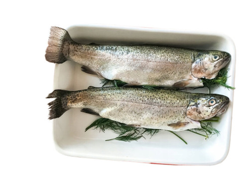 Pstrąg tęczow. patrosz.z głową cały  300-350g. IQF -NORD(5 kg.)