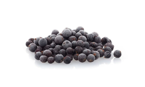 Czarna porzeczka 10kg-OERLEMANS