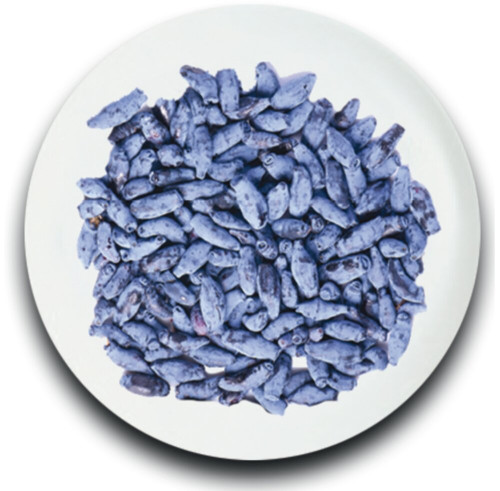 Jagoda kamczacka 2,5kg-POLTINO(4)