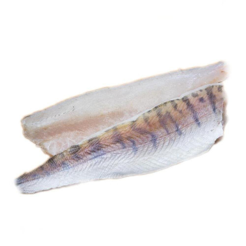 Sandacz filet z/s 200-300g.-(5kg.)