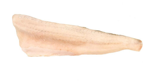 Karp płat Z/S 300-800 20%gl. -5kg