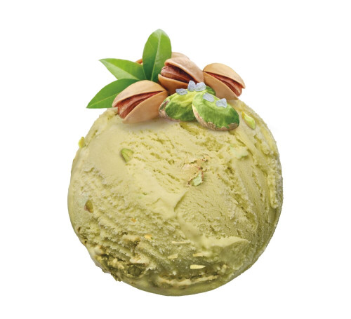 Kuweta Słona Pistacja 5L-SCHOLLER(1)