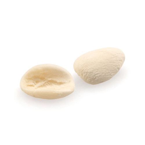 Makaron Orecchiette 3kg-PERINO