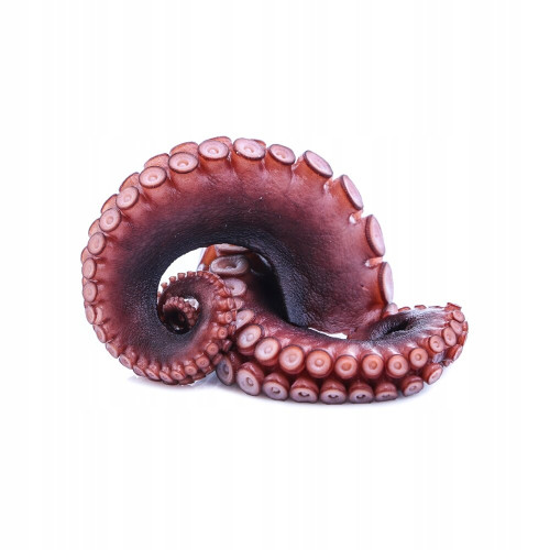 Ośmiornica macki gotowane tacka VAC 250g (32)