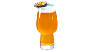 Triada Dystrybutor Mrożonek | Dystrybutor produktów mrożonych