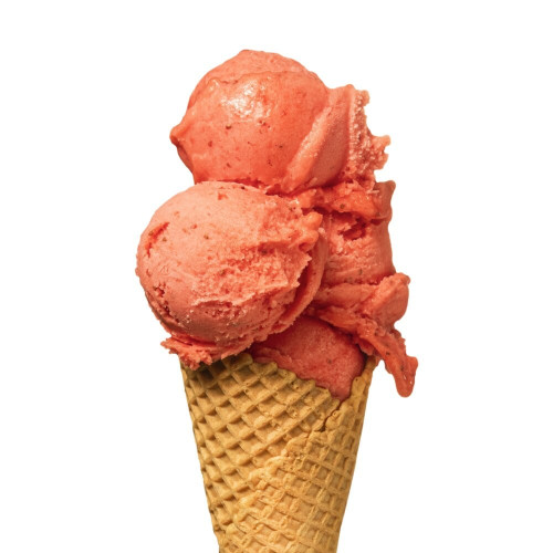 Kuweta Sorbet Truskawka 5L-WILLISCH(1)